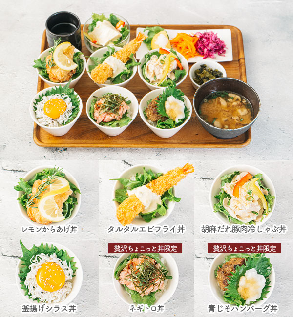 贅沢ちょこっと丼